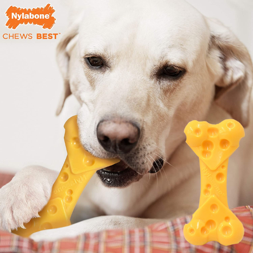 nylabone coupons