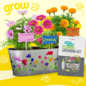 Paint & Plant Flower Craft Kit for Kids $9.99 (Reg. $24.99) - FAB Ratings!...