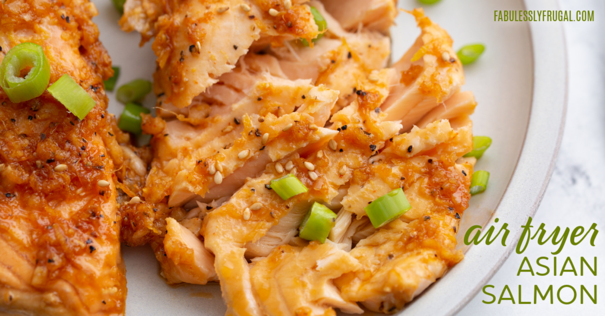 Asian Salmon in the Air Fryer Recipe - Fabulessly Frugal