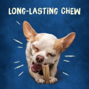 60-Count Purina Busy Bone Tiny Dog Treats as low as $14.86 Shipped Free...