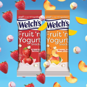 20-Count Welch's Fruit 'n Yogurt Snacks Variety Pack, 1.8 oz Bags $23.99...