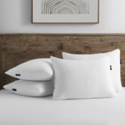 4-Pack Serta So Comfy Bed Pillow $20 (Reg. $39.98) - $5/pillow!