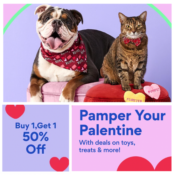Chewy: Buy 1, Get 1 50% Off Select Valentine's Day Products with Code