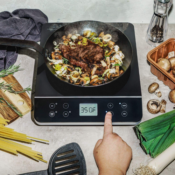 Crux Countertop Electric Induction Burner $33.74 Shipped Free (Reg. $80)