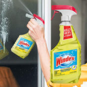FOUR Windex Multi-Surface Cleaner and Disinfectant Spray Bottles as low...