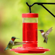 First Nature 16-Oz Hummingbird Feeder $4.18 (Reg. $8.23)