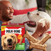TWO 10-lb Boxes Milk-Bone Original Dog Treats Biscuits as low as $11.80...