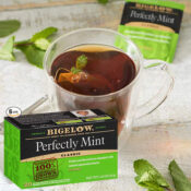 120-Count Bigelow Perfectly Mint Black Tea, Caffeinated as low as $12.17...