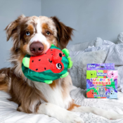 Outward Hound Surprise Hedgies Dog Toys as low as $5.23 Shipped Free (Reg....