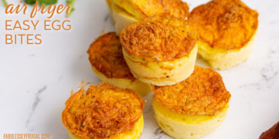 Air Fryer Egg Bites - Air Fryer Fanatics