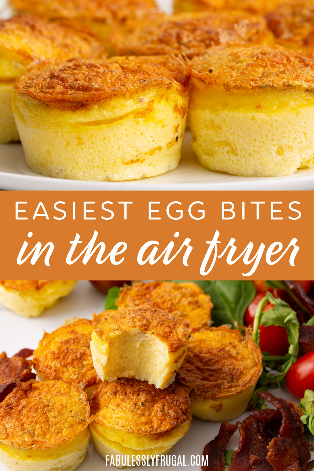 Air Fryer Egg Bites - Air Fryer Fanatics