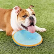 10-inch ChuckIt! Paraflight Flyer Dog Frisbee Toy as low as $5.70 (Reg....
