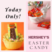 Today Only! Hershey's Easter Candy from $8.60 (Reg. $14.13)