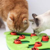Petstages Buggin' Out Puzzle & Play Interactive Cat Treat Toy as low...