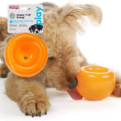 Planet Dog Orbee-Tuff Snoop Treat Dispensing Tough Orange Dog Chew Toy...