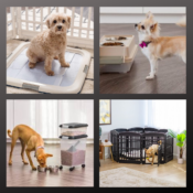 Save up to 48% on IRIS USA Pet Supplies from  $14.04 (Reg. $27) - 19K+...