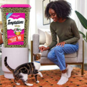 16-Oz Temptations Classic Crunchy and Soft Cat Treats as low as $5.38 Shipped...