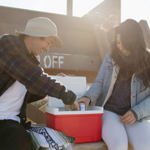 Igloo Coupon Deals & Promo Codes Fabulessly Frugal