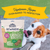 Natural Balance Bite-Size Peanut Butter Vegetarian Small-Breed Dog Treats,...