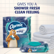 Charmin 160-Count Flushable Wipes, Shower Fresh as low as $7.16/Pack when...