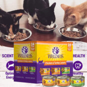 24-Pack Wellness Chicken & Turkey Lovers Minced and Gravies Cat Food...