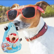 4-Piece Bow Wow Shark Hide & Seek Plush Dog Teeth Teasing Toy Set $7.20...