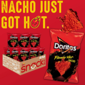 40-Pack Doritos Flamin' Hot Nacho Flavored Tortilla Chips $13.98 (Reg....