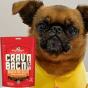 Last Chance! 8.25oz Bag Stella & Chewy’s Dog Treats as low as $6.22...