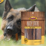 Cadet Bully Sticks Premium Dog Treats, 12-Ounce as low as $24.90 After...