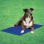Coolin' XL Pet Pad Dog Cooling Mat $17.25 (Reg. $62) - FAB Ratings! - LOWEST...
