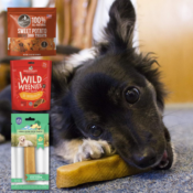 Today Only! Dog Treats from Milk Bone, Himalayan, and more from $4.77 (Reg....