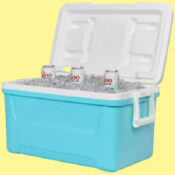 Igloo 48 Qt Hard Sided Ice Chest Cooler $24.88 - Holds Up to 76 Cans
