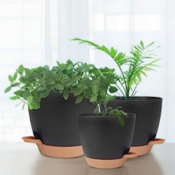 5-Pack Self Watering Planters $17.95 - $3.59/Pot - 3 Color Options