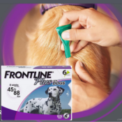Amazon Prime Day: Up to 45% off on Frontline Plus Flea and Tick Treatment...