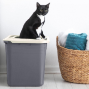 Nonstick Top-Entry Cat Litter Box Amazon Basics Prime Member Exclusive...