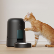 Feed your Cat Easily and Conveniently - Automatic Cat Food Dispenser only...