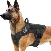 Heavy Duty Large Tactical Dog Harness with Handle $23.79 After Code + Coupon...