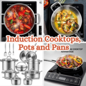 Today Only! Induction Cooktops, Pots and Pans from $64.79 Shipped Free...