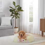 Koolaburra by UGG 30-Inch Sacha Faux Fur Pet Bed, Tie Dye $18 (Reg. $60)