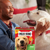 Amazon Prime Day: Milk-Bone Original Dog Treats Biscuits for Large Dogs,...