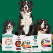 Today Only! Amazon Prime Day: Up to 34% off on Nutro Pet Food from $25.25...