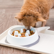 Small Slow Feeder Bowl for Long Snouted Pets $5.47 (Reg. $17.99) - 1K+...