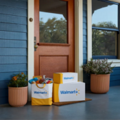 Walmart+ Assist: Get a W+ membership for just $6.47/month or $49/year—that’s...
