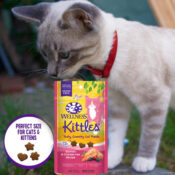 Wellness Kittles Crunchy Natural Grain Free Cat Treats, Salmon & Cranberry...