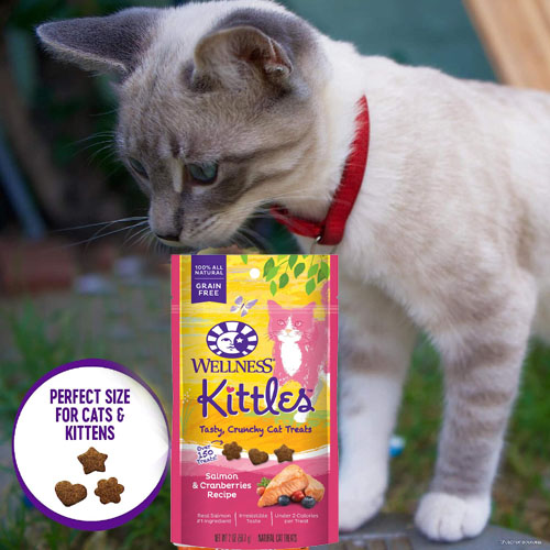 Wellness Kittles Crunchy Natural Grain Free Cat Treats, Salmon