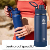 Actives Insulated Stainless Steel 18oz Water Bottle with Spout Lid $13.49...