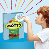 Mott's 40-Count Assorted Fruit Flavored Snack Pouches as low as $5.36 After...