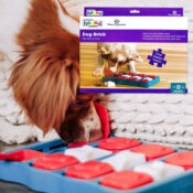 Outward Hound Nina Ottosson Interactive Puzzle Game Dog Toy (Intermediate)...