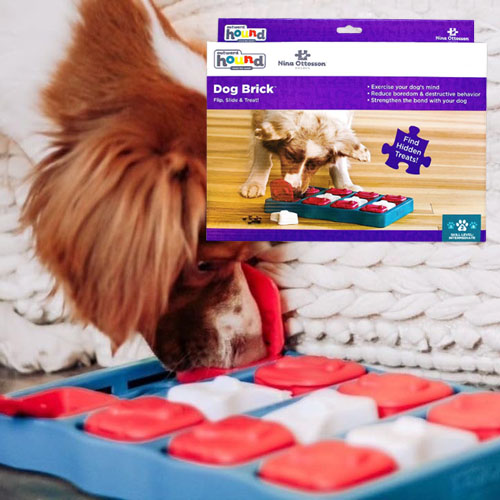 https://fabulesslyfrugal.com/wp-content/uploads/2023/08/Outward-Hound-Nina-Ottosson-Interactive-Puzzle-Game-Dog-Toy-Intermediate.jpg