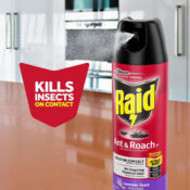 Raid Ant & Roach Killer Spray, Lavender Scent, 17.5-Oz as low as $2.24...